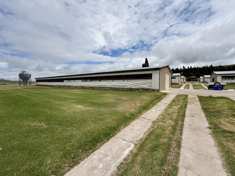 0 Bedroom Property for Sale in Harrismith Free State